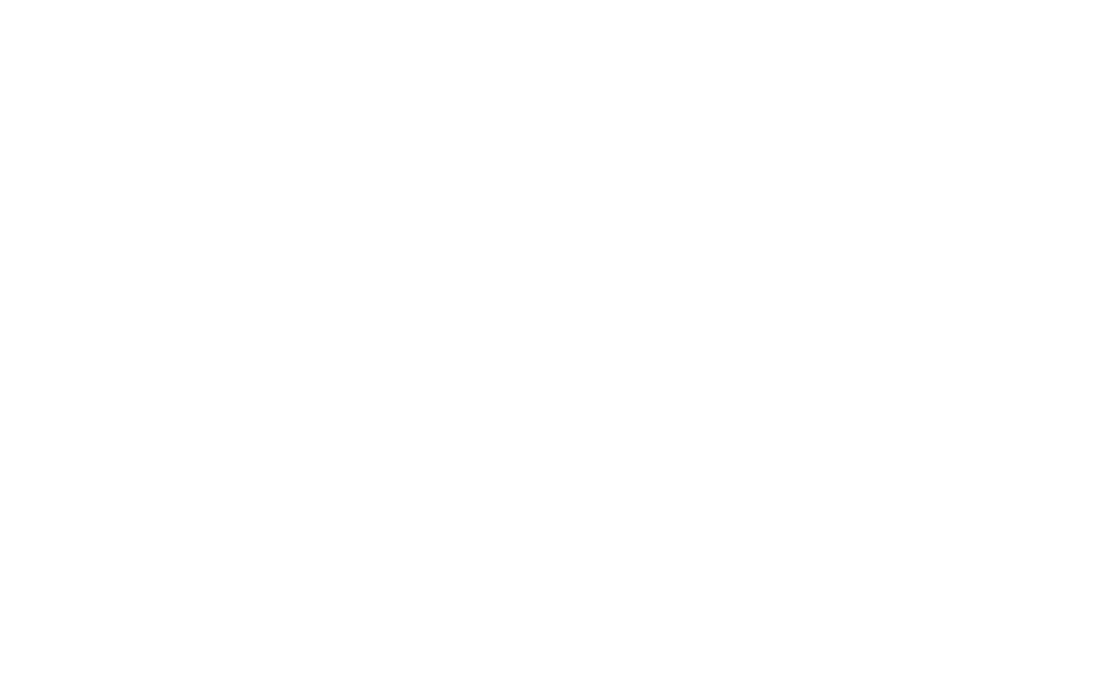 Swiss-Map-white-big